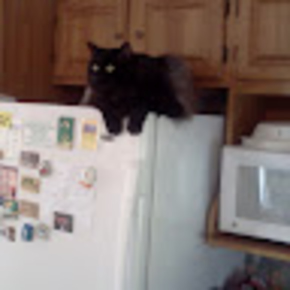 Meet your Posher, Jay - Picture 1 of 1